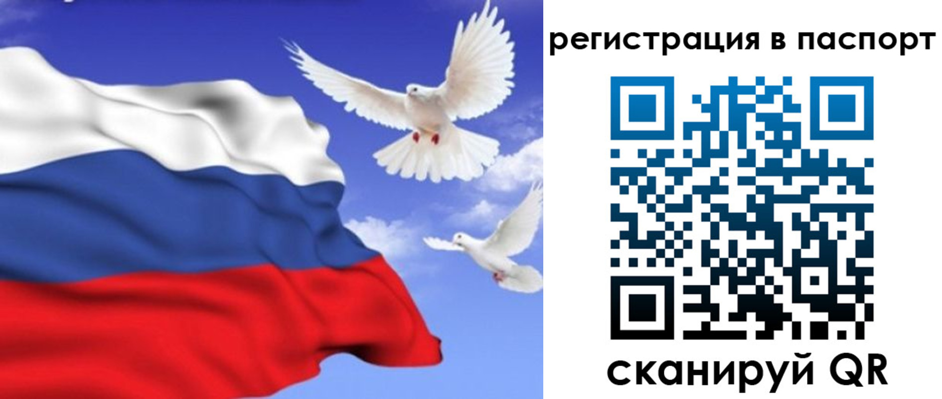 купить прописку в Курганской области